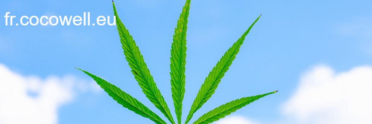fr.cocowell.eu